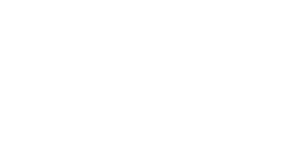 BDI New Space Initiative